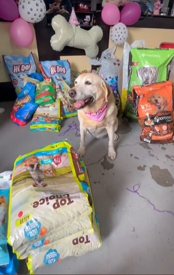 Todos los regalos que recibió