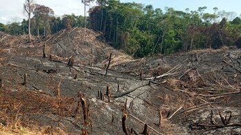 Comuneros denuncian falta de apoyo.
