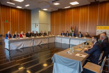 Reunión del IV Plan Especial