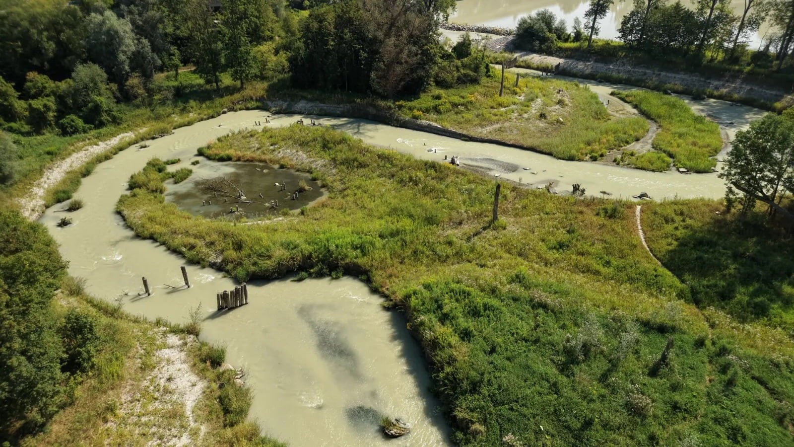 La detección del gobio del Danubio en el río Inn reforzó la hipótesis de una ampliación de su presencia en este curso fluvial (Christoffer Nagel / TUM)
