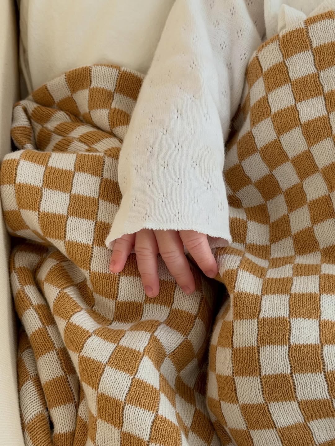 La pequeña mano de Dante sobre una de sus mantas