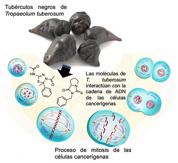 05/10/2020 Científicos de la UAM