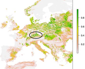 Los restos y artefactos hallados