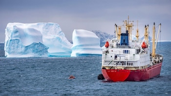 El pez de hielo, otra