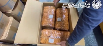 Incautadas más de 290.000 especies