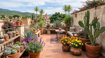 Terraza con macetas de barro que contienen cactus de nopal, agaves, flores de cempasúchil, salvia violeta, un banco de madera y una mesa.