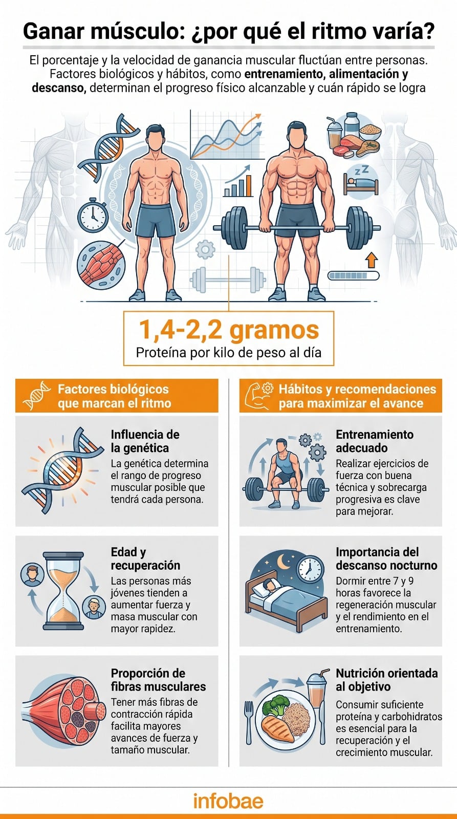 El progreso físico no sigue el mismo ritmo en todas las personas. (Imagen Ilustrativa Infobae)