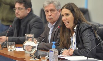 Marisa Uceda, presidenta de la