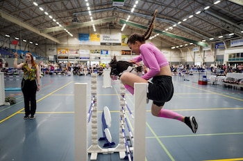 La equitación de hobbyhorse combina