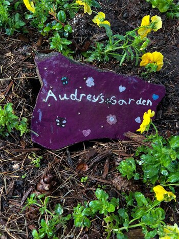 La historia de Addison y