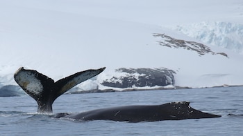 Hoy, bajo el marco del