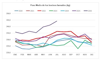 Gráfico precio promedio de animales faenados
