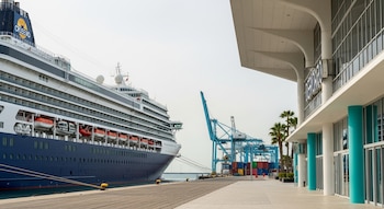 Gran crucero blanco y azul atracado en un puerto con muelle. Al fondo hay grúas portuarias, contenedores de carga y palmeras junto a un edificio moderno.