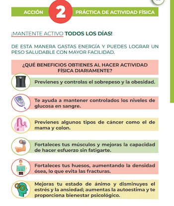 Incorporar frutas, verduras, cereales y proteínas a la alimentación diaria, además de realizar actividad física y beber agua simple, ayuda a mantener un peso saludable y prevenir problemas asociados con una dieta desequilibrada