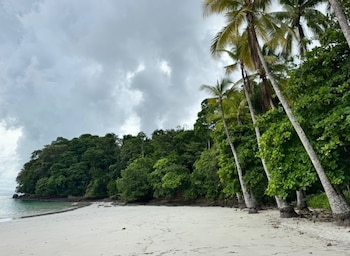 La playas son refugio de vida silvestre que la institución ambiental vigila a través de la Dirección Nacional de Verificación del Desempeño Ambiental. (MiAmbiente)