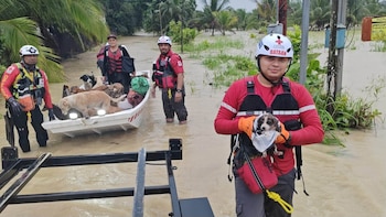 Hasta el domingo 16, la Cruz Roja costarricense reportó en la región norte la evacuación de 65 personas en la región: 16 en Matina, 15 en Cariari de Pococí, 14 en Río Jiménez de Guácimo, 16 en Talamanca y 4 en Valle La Estrella. (Infobae Centroamérica/Cortesía Cruz Roja Costarricense y Bomberos Costa Rica)