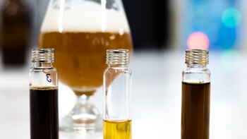 Investigadores colombianos crearon una cerveza