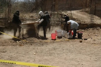 Reportan restos óseos sin analizar