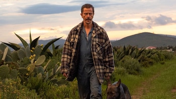 La película mexicana que ha sorprendido en San Sebastián y que pide ternura en tiempos de guerra: “Envidiamos cómo se hacen las cosas en España a nivel industria”