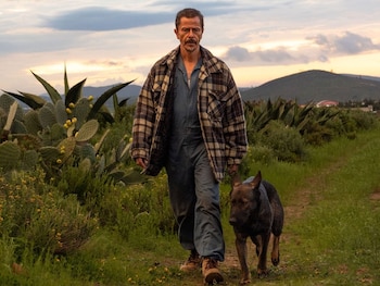 Imagen de 'Morro'
