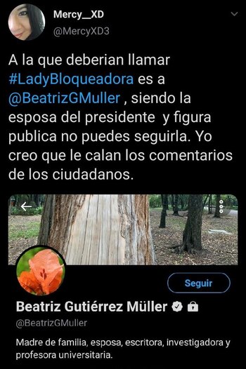 algunos usuarios de Twitter comenzaron