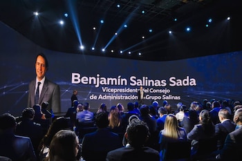 Benjamín Salinas, Vicepresidente del Consejo