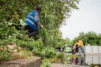 - crédito Alcaldía de Valledupar