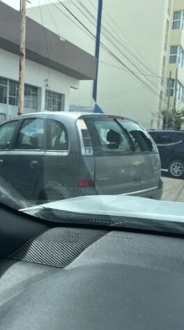 Árboles caídos, autos destruidos y un domo volado entre los daños más graves (ADN Sur)