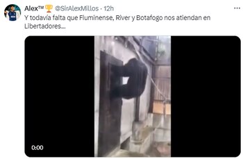 Sáquenme de aquí pide Millonarios - crédito redes sociales