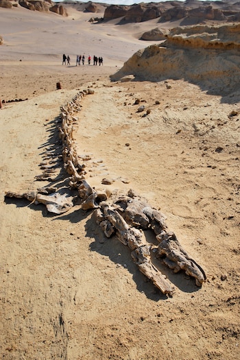 Las rocas de esta región desértica cuentan historias oceánicas (UNESCO)