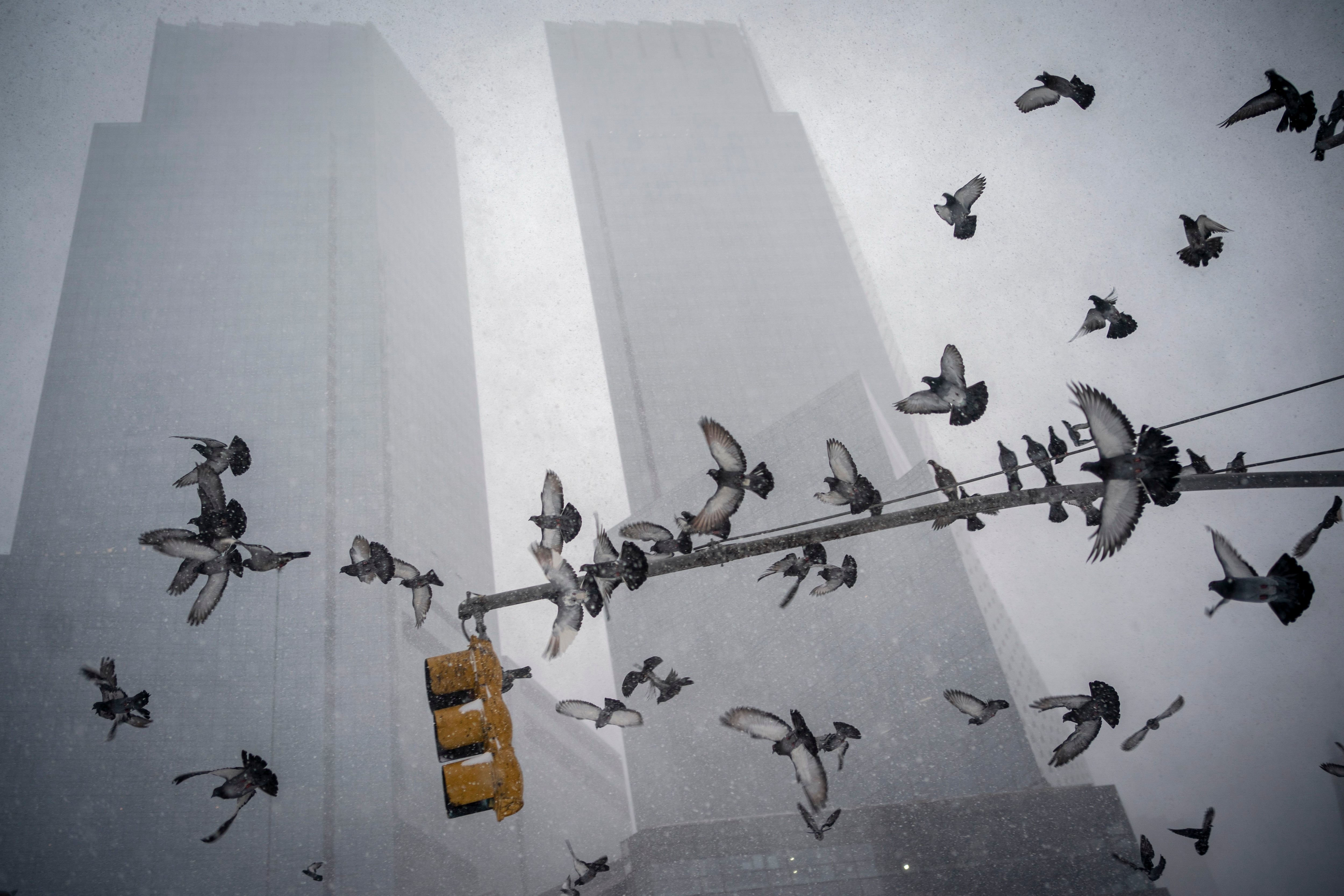 Columbus forma parte del estado de Ohio, durante la temporada de invierno se registran fuertes nevadas (AP Photo/Wong Maye-E)