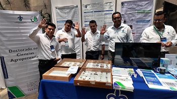 (Crédito: Universidad Veracruzana)