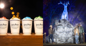 harry potter -México- 22 septiembre