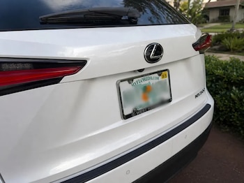 Florida establece criterios claros para el uso de marcos en placas vehiculares, delimitando qué partes pueden quedar cubiertas sin infringir la ley