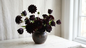 Un arreglo de flores negras que incluye dalias, tulipanes y rosas, está colocado en un jarrón oscuro sobre una mesa de madera blanca y un fondo claro con una ventana.
