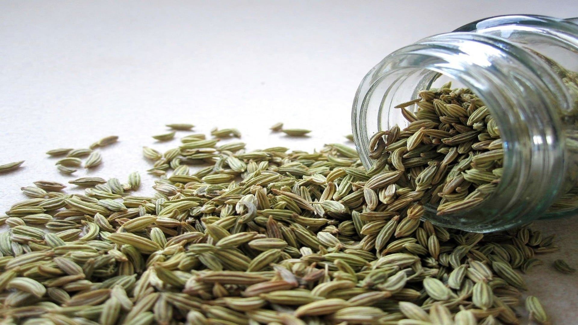 La fibra, el potasio y el bajo índice glucémico del hinojo contribuyen al control del colesterol, la presión arterial y la glucosa (Crédito: Pixabay)