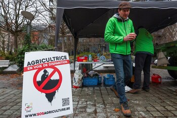 Protestas de agricultores en Bruselas.