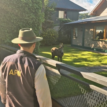 Las autoridades solicitan a los