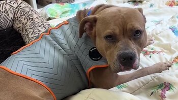 Tiana sufrió a causa de