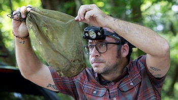 Como en Jurassic Park: los