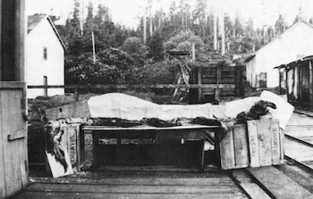 Fotografía en blanco y negro de los restos de un animal alargado apoyados sobre cajas de madera entre unos edificios y un bosque