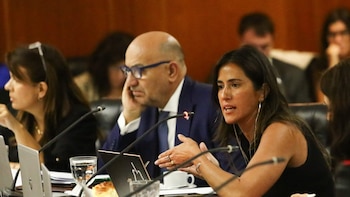 El juez Barroetaveña y la abogada Jimena de la Torre desistieron de las acciones judiciales para buscar una reelección en el Consejo