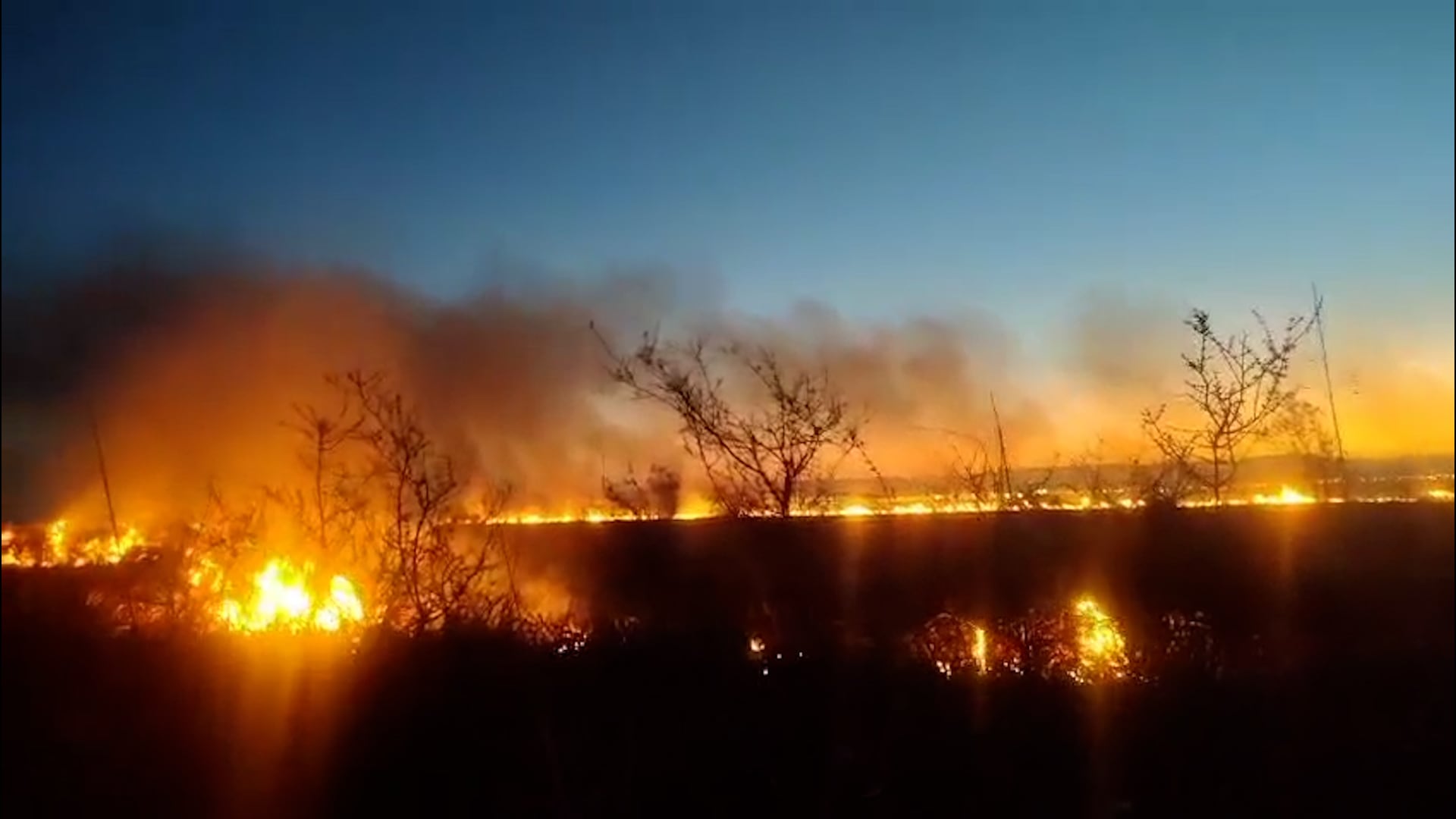 La medida prohíbe encender fuego en tierras públicas y restringe cualquier actividad que pueda originar focos ígneos durante el periodo de máxima peligrosidad