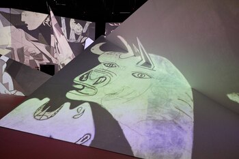 Detalles de la proyección de