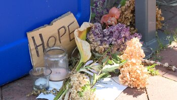 Algunas de todas las ofrendas