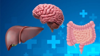 Cuidar el hígado también es