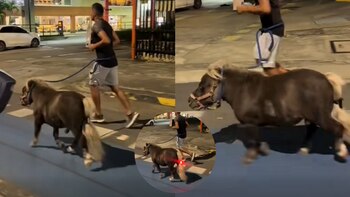 Hombre llama la atención al