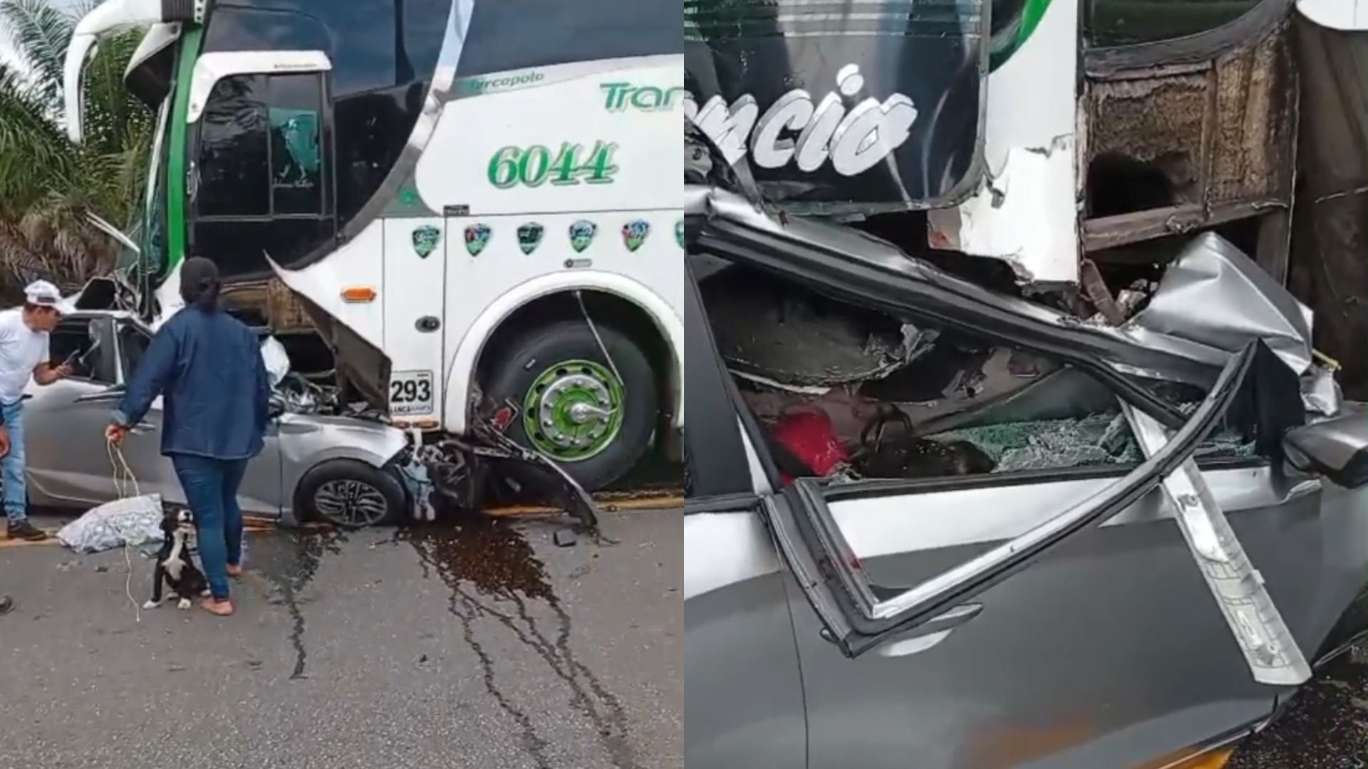 En las imágenes quedó registrada la magnitud de la tragedia - crédito Captura de video / Cortesía