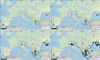 Extensão de 'Hierodula tenuidentata'