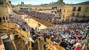 Carnaval del Toro, en Ciudad